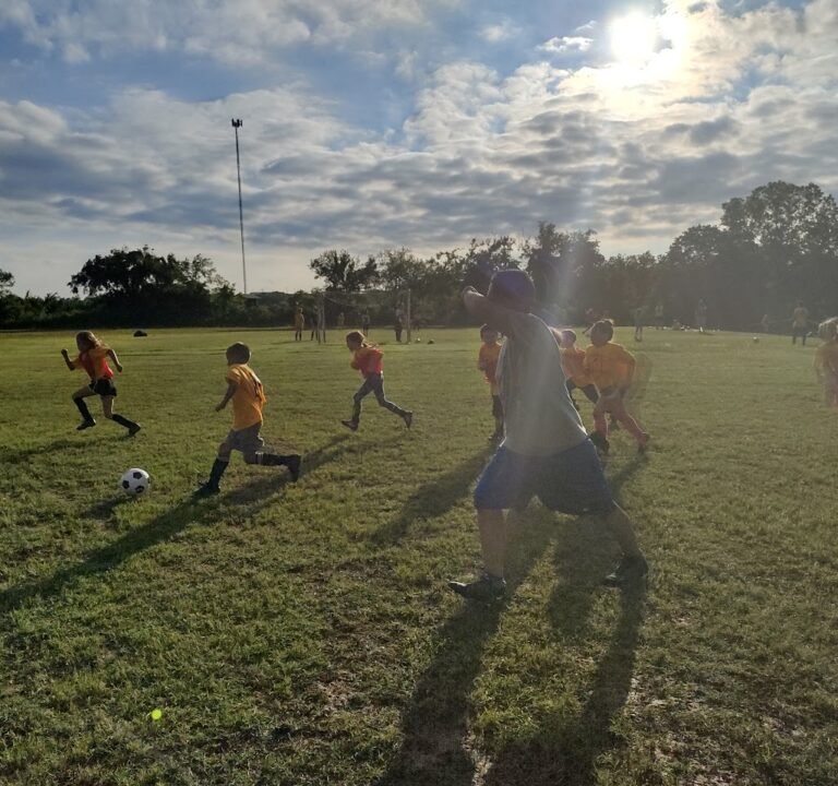 Soccer Field image 3