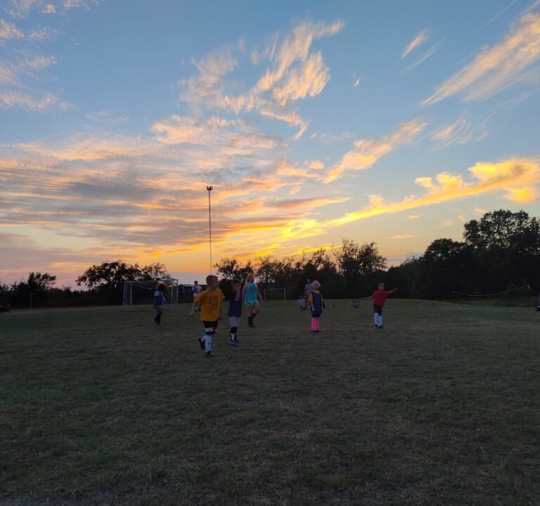 Soccer Field image 2