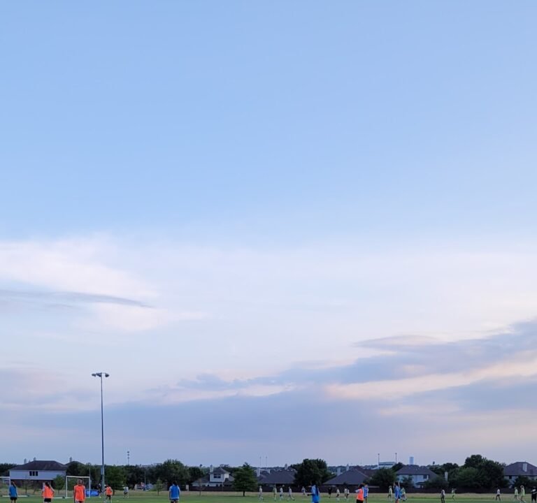 Soccer Field image 2