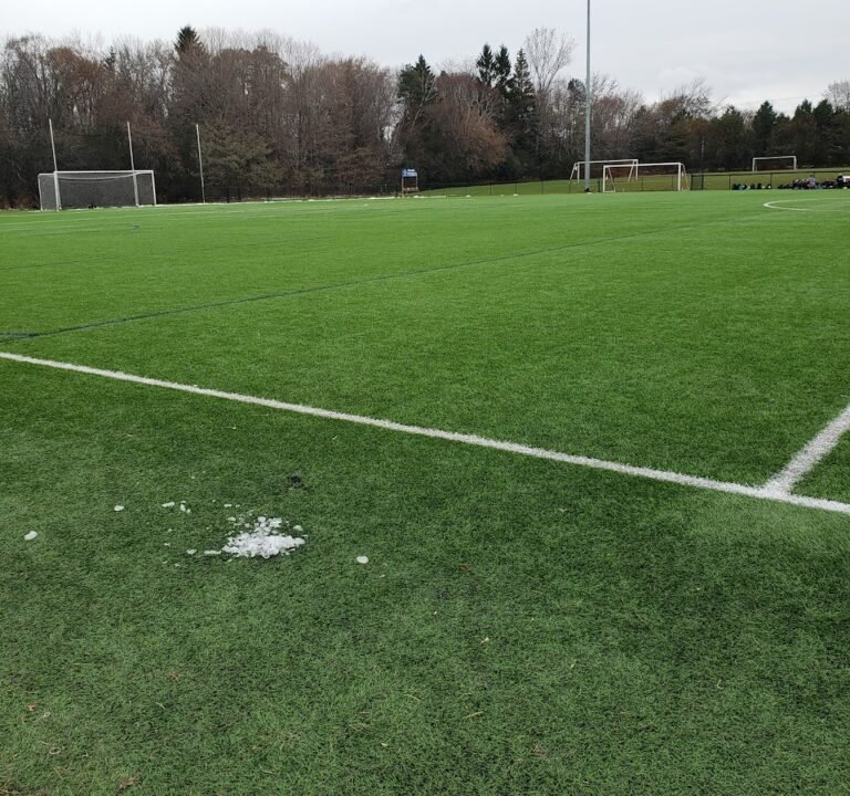 Soccer Field image 2