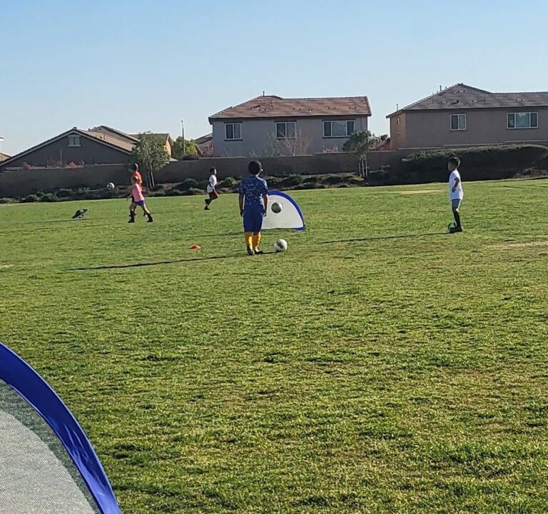 Soccer Field image 2