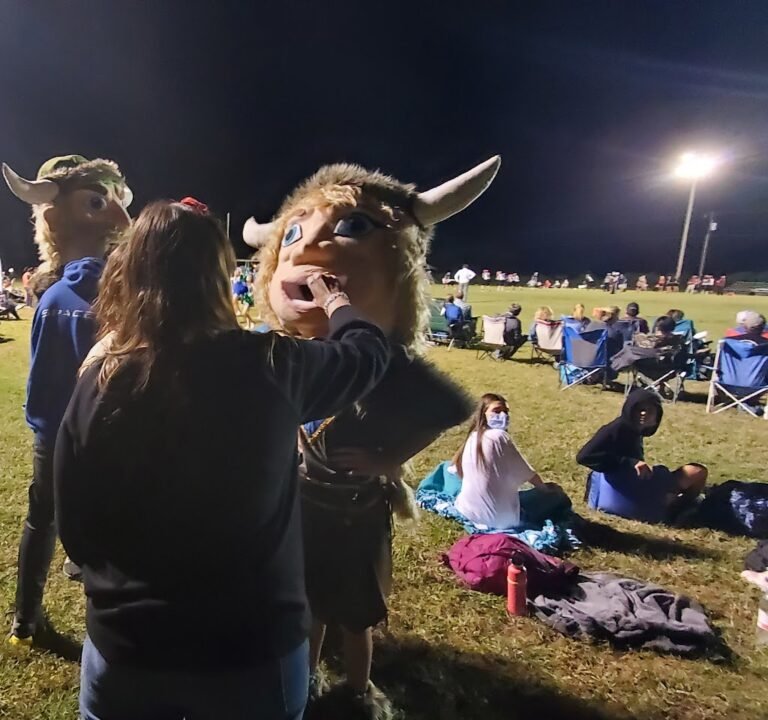 Soccer Field image 2