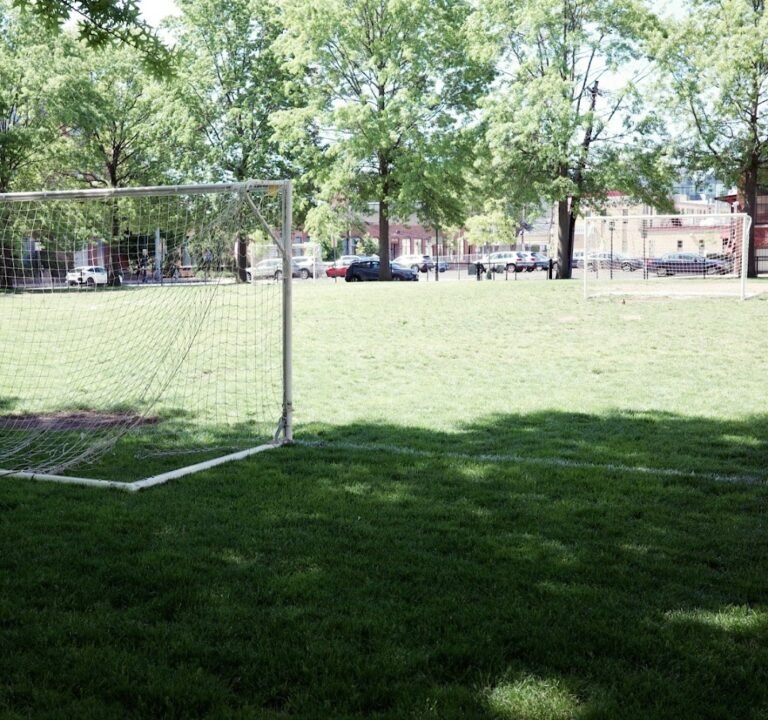 Soccer Field image 3