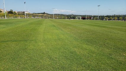 Soccer Field image 1