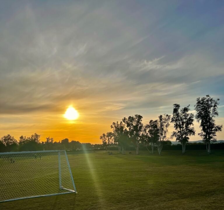 Soccer Field image 2