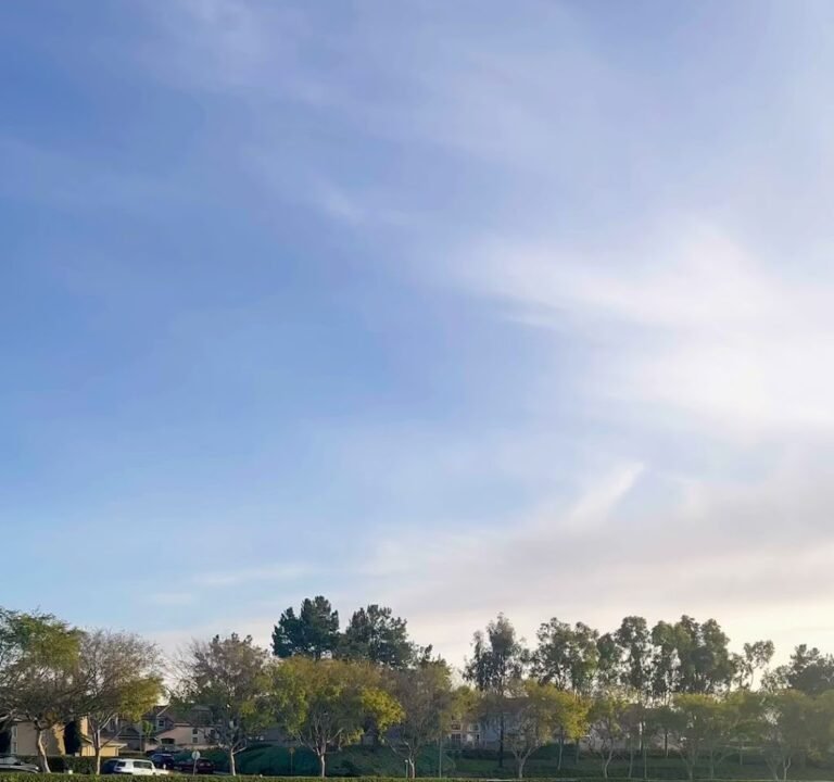 Soccer Field image 4