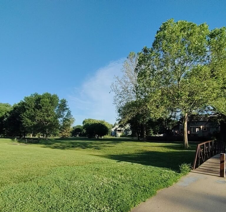 Soccer Field image 2