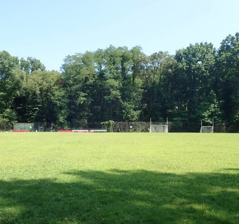 Soccer Field image 2
