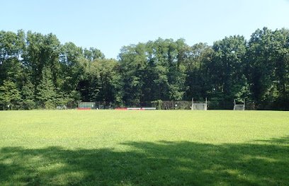 Soccer Field image 1