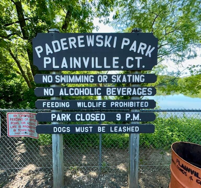 Soccer Field image 3