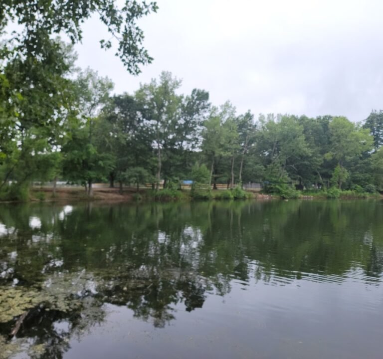 Soccer Field image 2