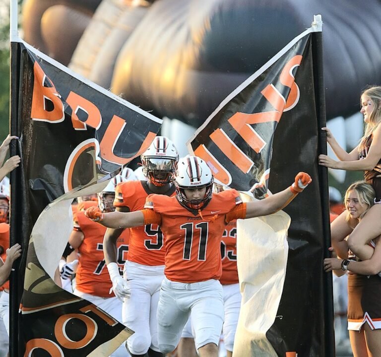 Soccer Field image 2