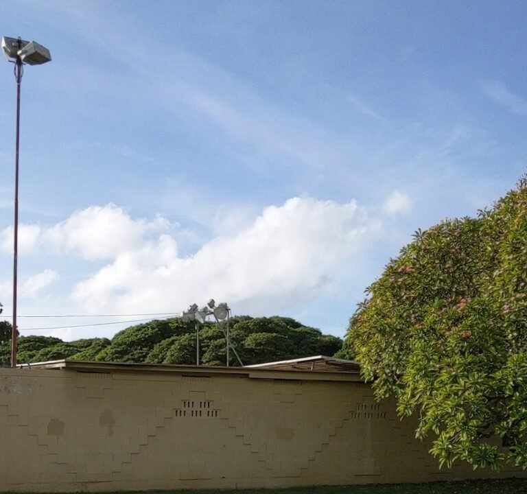 Soccer Field image 3