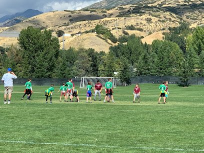 Soccer Field image 1