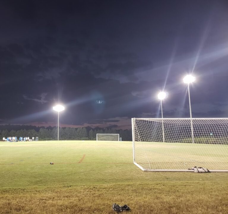 Soccer Field image 2