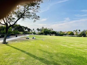 Soccer Field image 1