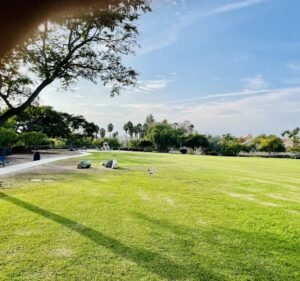 Soccer Field image 2