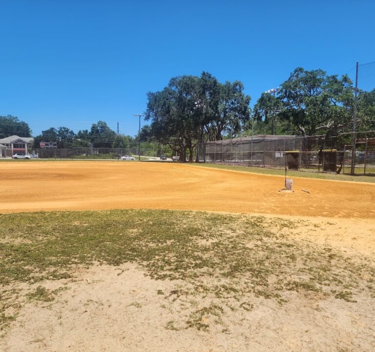 Soccer Field image 2