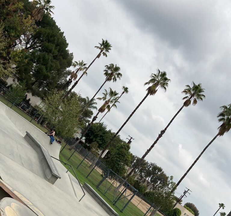 Soccer Field image 2