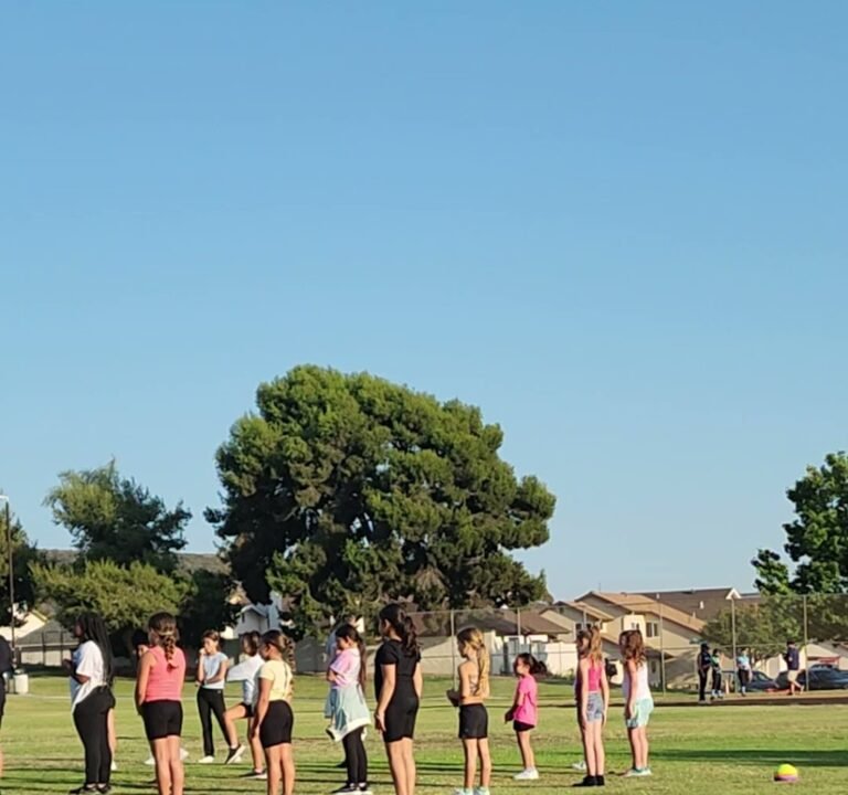 Soccer Field image 4