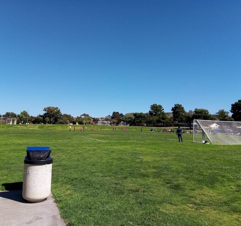Soccer Field image 2