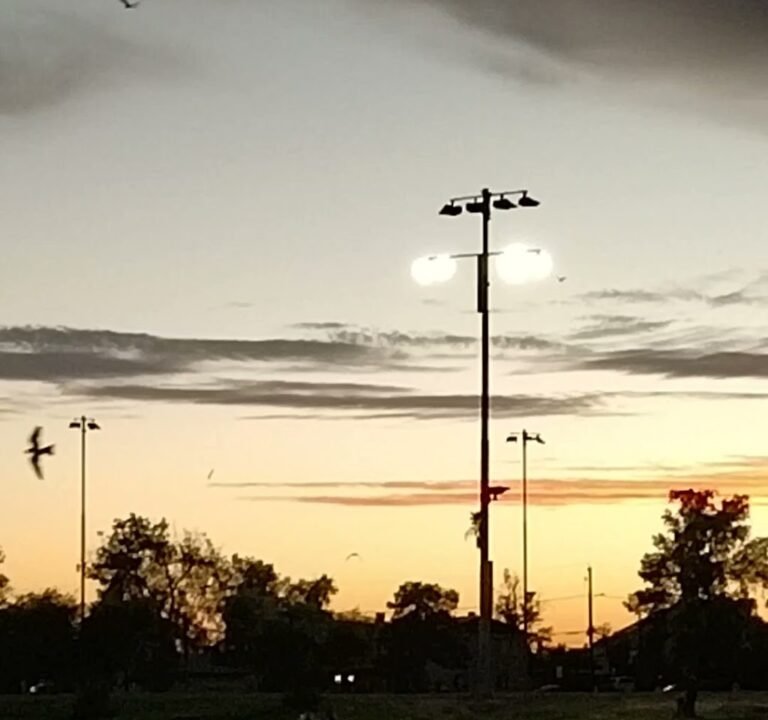 Soccer Field image 4