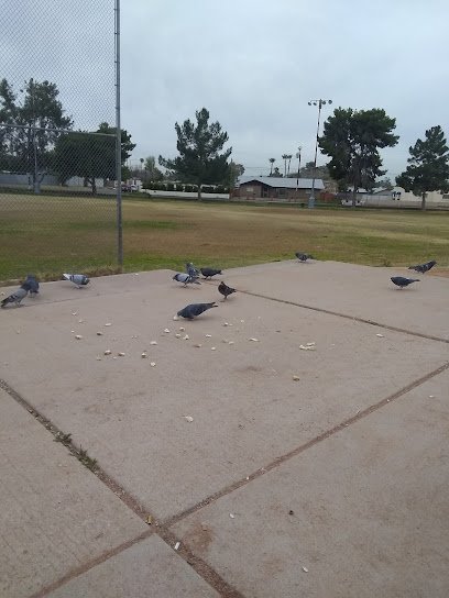 Soccer Field image 1