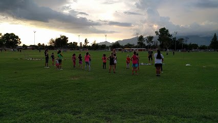 Soccer Field image 1