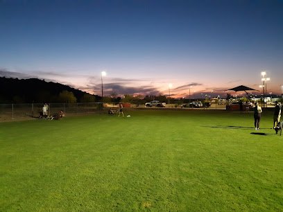 Soccer Field image 1