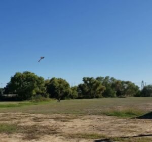 Soccer Field image 3