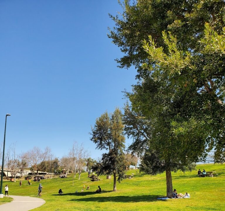 Soccer Field image 2