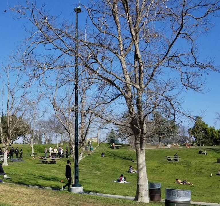 Soccer Field image 4