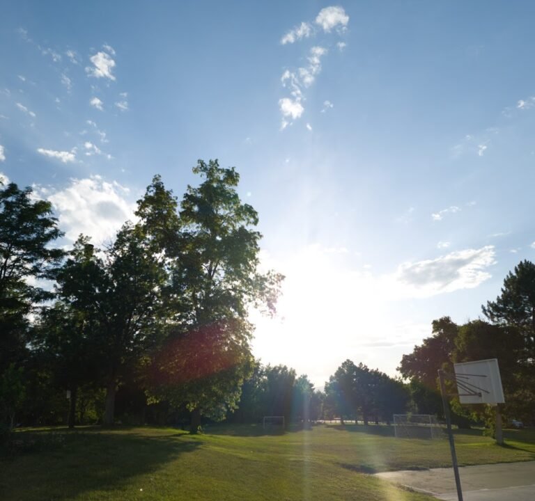 Soccer Field image 2