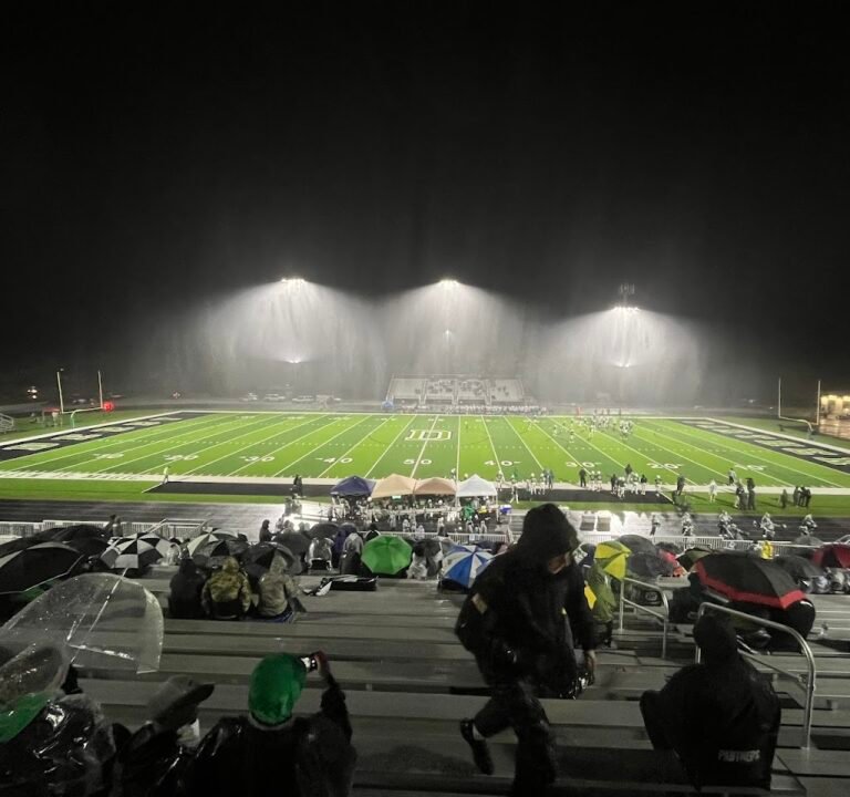 Soccer Field image 2