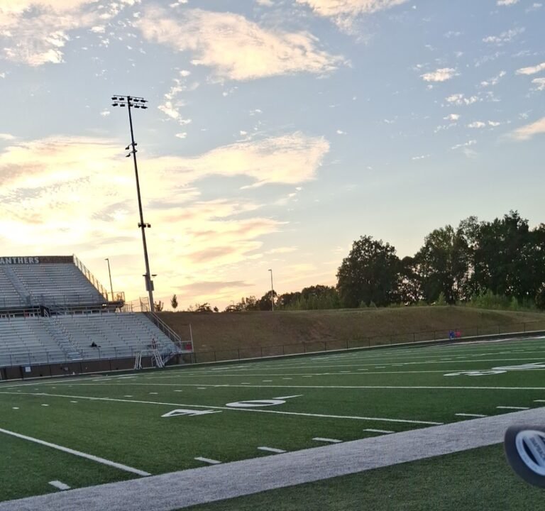 Soccer Field image 3
