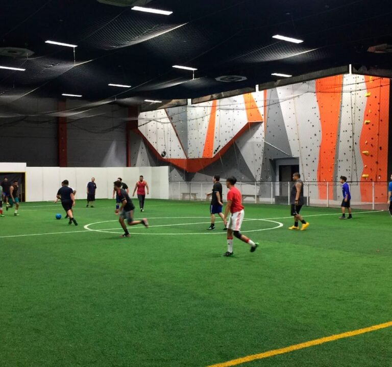 Soccer Field image 2