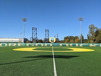 Soccer Field image 1