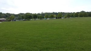 Soccer Field image 1