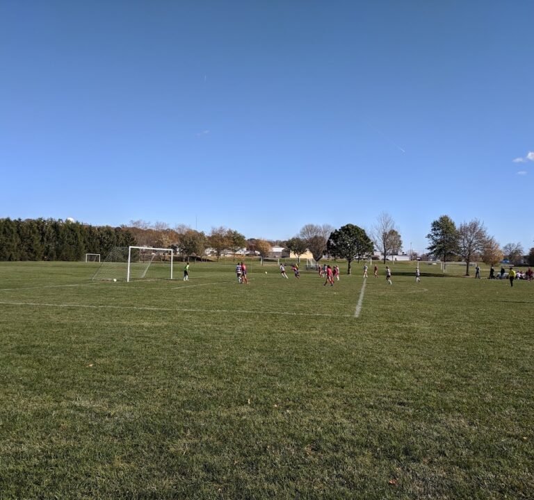 Soccer Field image 2