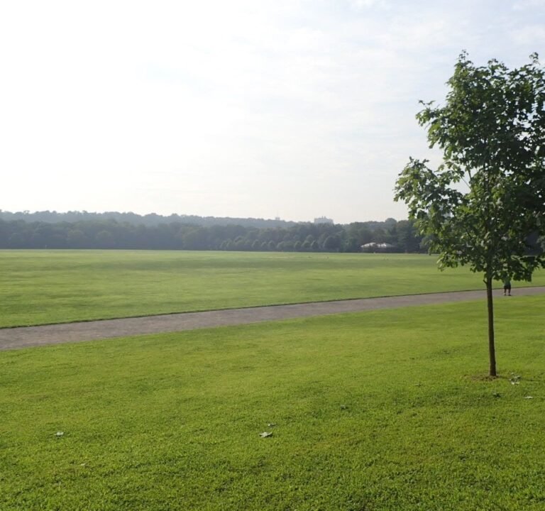 Soccer Field image 2