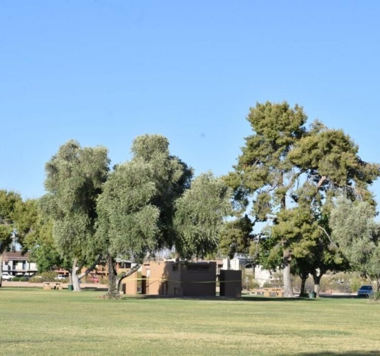 Soccer Field image 2