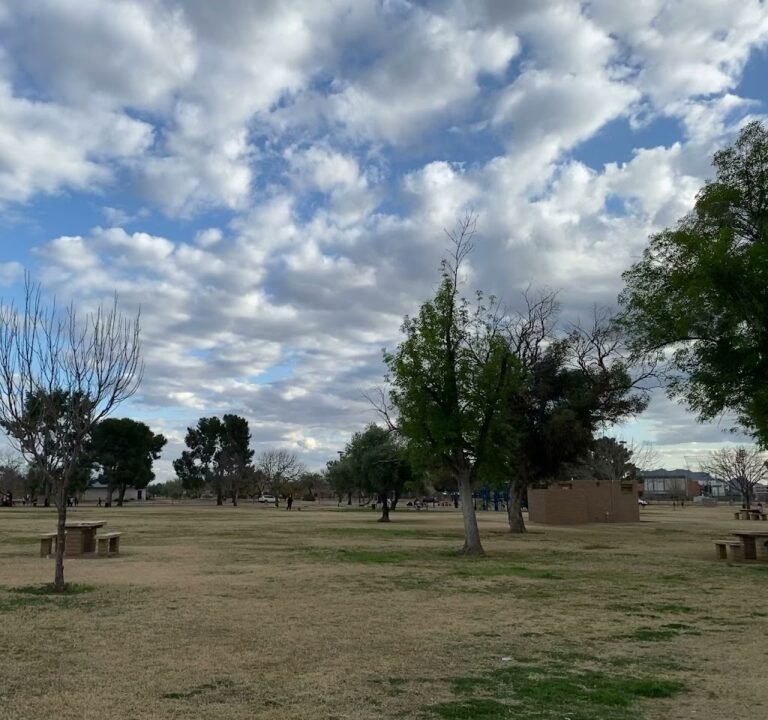 Soccer Field image 4