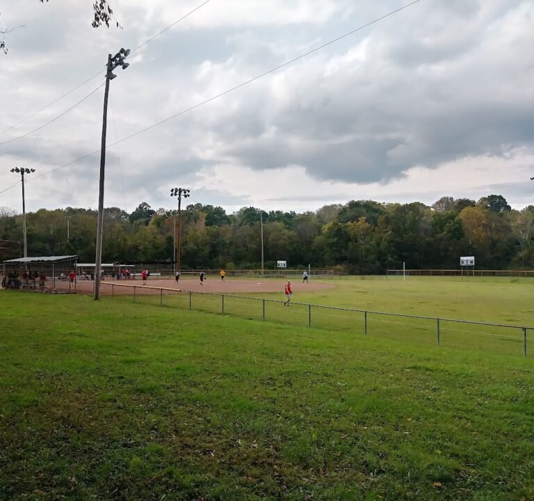 Soccer Field image 2