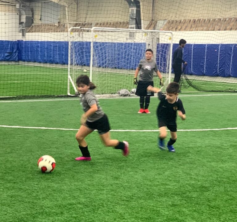 Soccer Field image 3