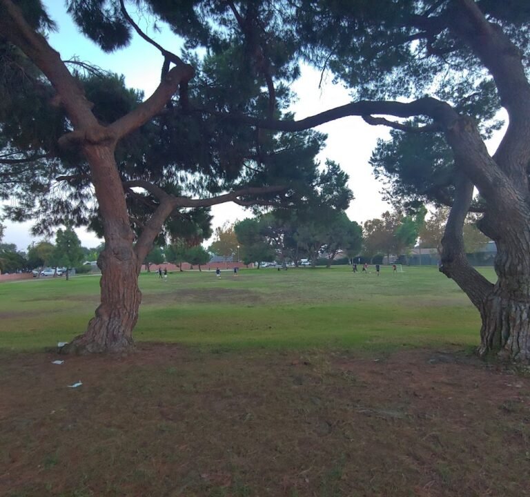 Soccer Field image 2