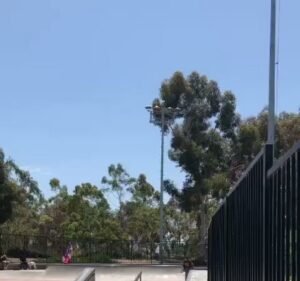 Soccer Field image 4