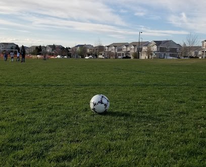 Soccer Field image 1
