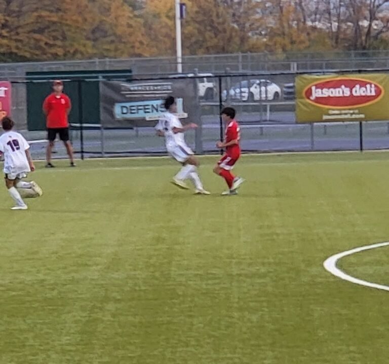 Soccer Field image 3