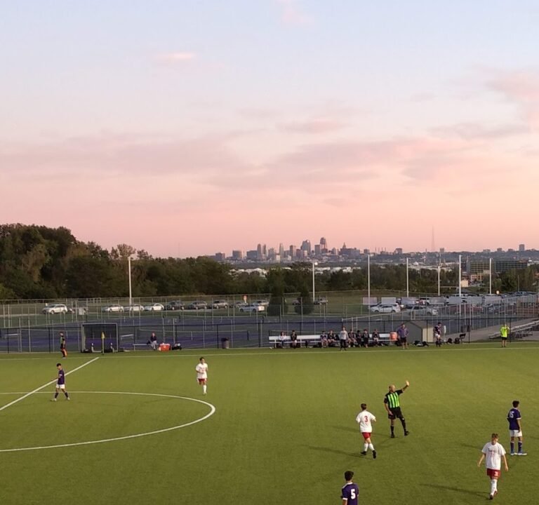 Soccer Field image 2