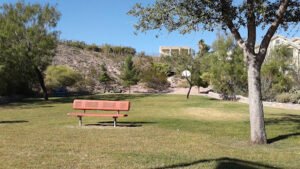 Soccer Field image 1